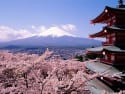 5 Not-To-Miss Asian Destinations with Singapore Airlines