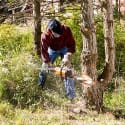 Power Tools for the Garden: From Chainsaws to Leaf Blowers
