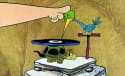 Turntable Buying Guide: What to Look for in New & Used Record Players