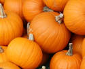 VIDEO: Is August Too Early for Pumpkin Spice Lattes?