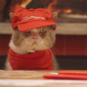 This is What it Would Be Like if Japanese Cats Ran Your Pizza Hut