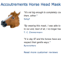 Laughing All the Way to the Bank: How Joke Reviews on Amazon Drive Sales