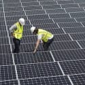 Walmart & Apple Pledge to Go Green: Will This Change How You Shop?