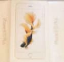 Rumor Roundup: Is This the iPhone 6s Plus Box? Peter Cushing Rises?