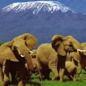 5 Once-in-a-Lifetime Vacation Ideas (You Can Actually Afford)