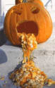 Staff Picks: Halloween Movies