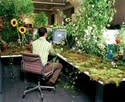 Green Computing: Tips for a more environmentally friendly, efficient system