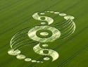 How Not to Get Duped When Giving to Green Charities