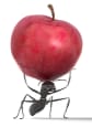 Do-It-Yourself Organic Pest Control That Can Improve Your Skin?