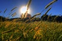 The Low Down on 5 Energy-Saving Products That Save Money in the Long Run