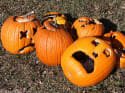 How to Survive the Pumpkin-O'Calypse of 2011