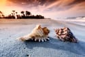 Travel to Riviera Maya, Mexico on a Dime: 6 Resorts for a Winter Vacation