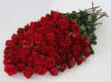 Finally! Proof That It's More Cost Effective to Grow Your Own Roses for V-Day