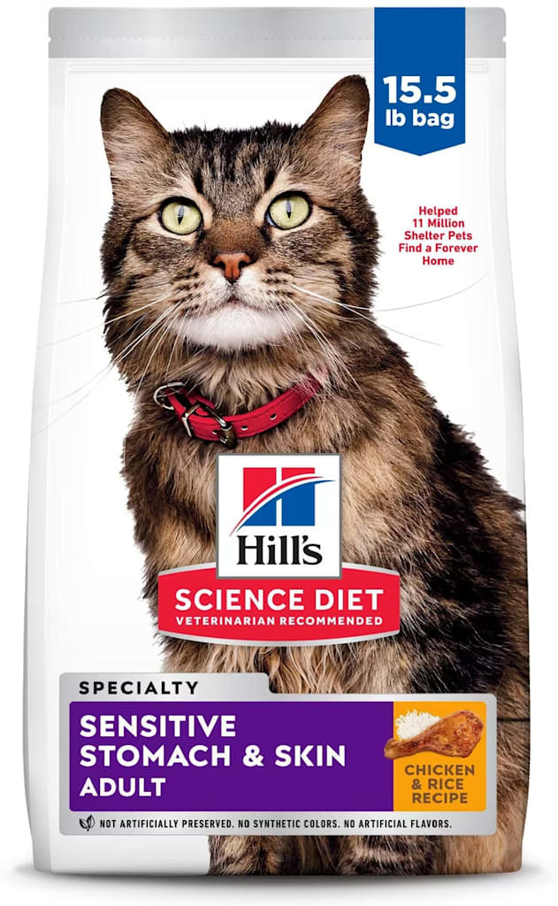 Chewy Cat Food Deals