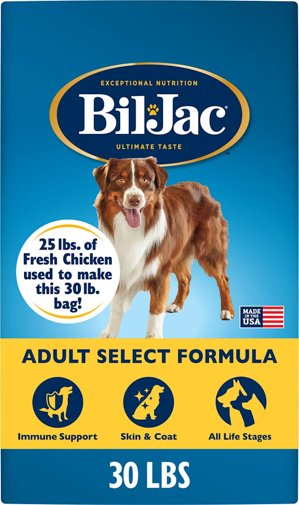 Chewy Dog Food Deals