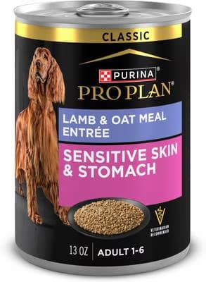 Chewy Wet Dog Food Deals