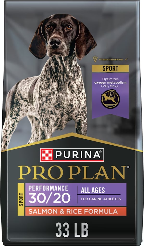 Chewy Pet Essentials