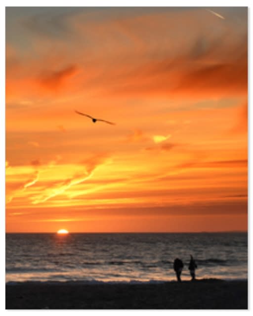 Repositionable Posters at CVS