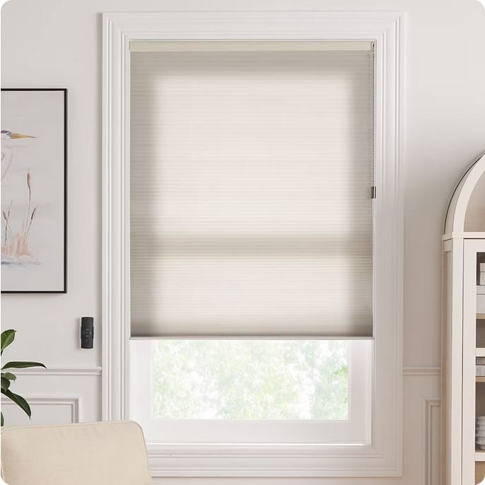 Blinds.com Cellular Shades