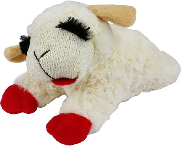 Chewy Toy, Clothing, & More Deals