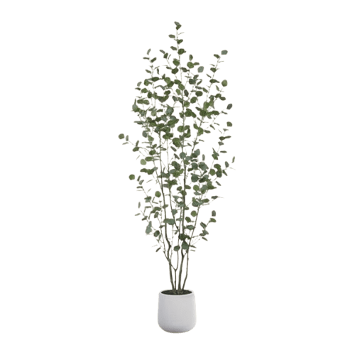 AllModern Decor Markdowns