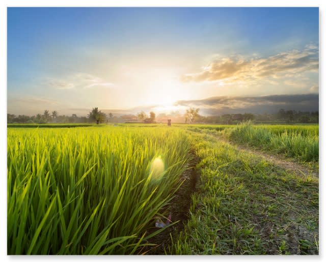 Same Day Photo Panels at CVS