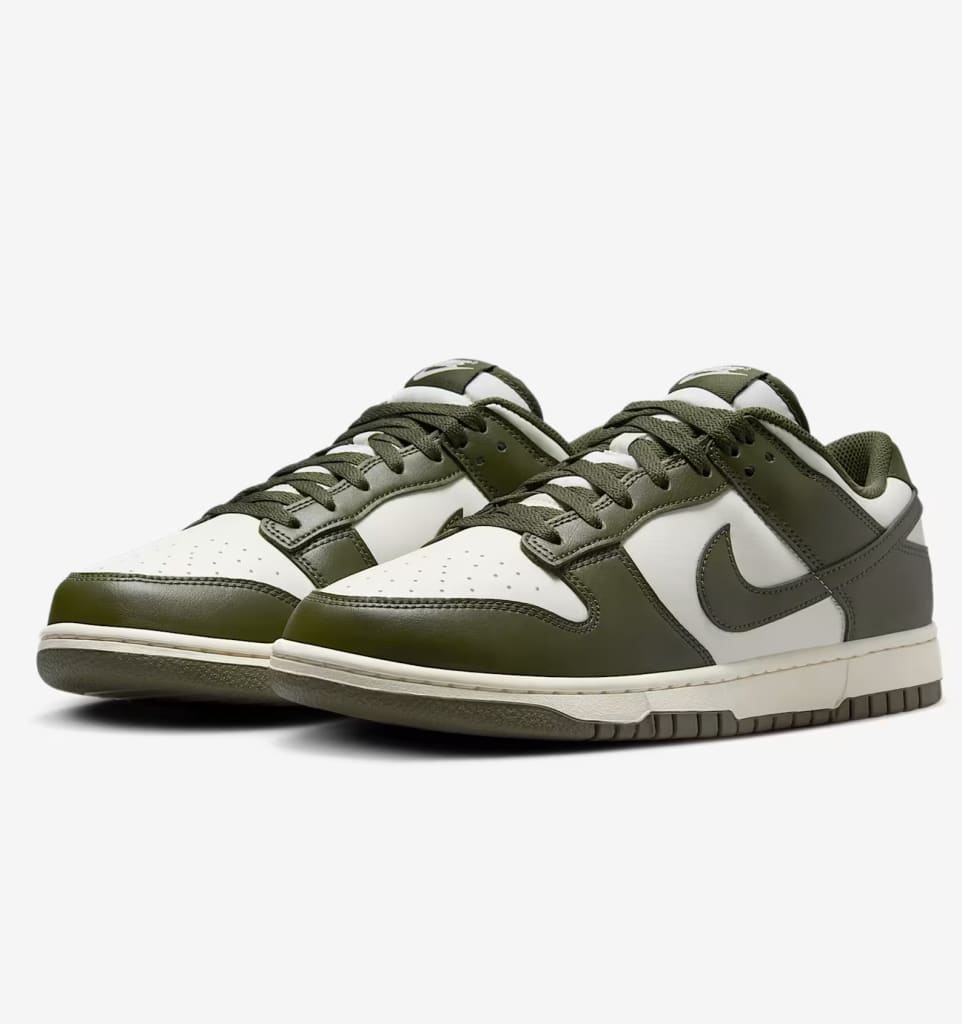 Nike Men's Dunk Low Retro Shoes