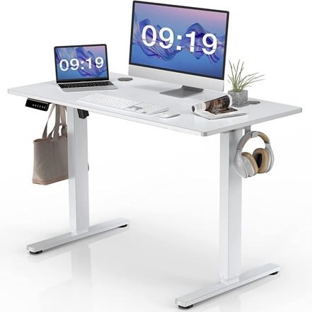 Furmax 55 x 24 Home Office Electric Height Adjustable Standing Desk 