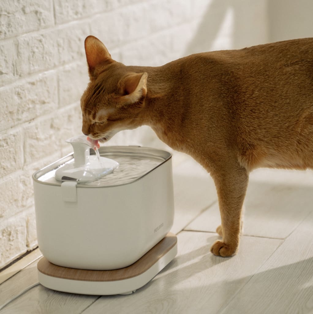 Petlibro Dockstream Smart Fountain for $40 + free shipping