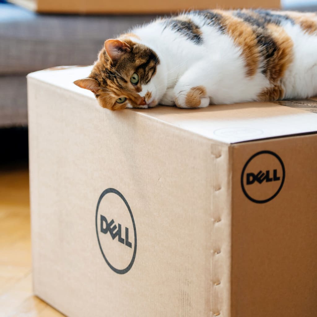 The 17 Best Things to Buy During a Dell Back to School Sale