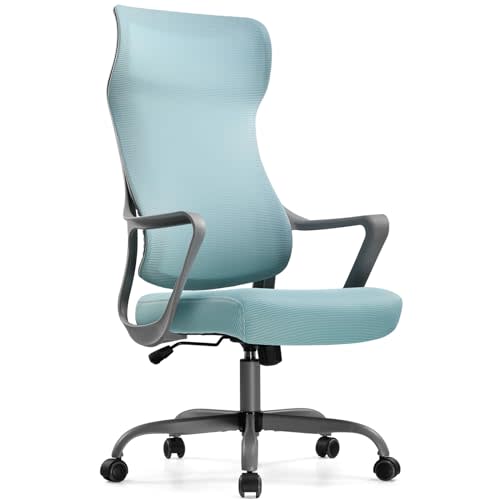 GTP Office Ergonomic Office Chair for 60 CH202