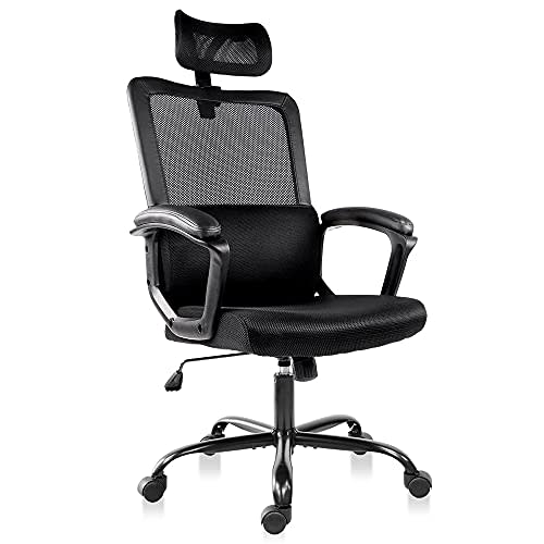 Blarity Office Chair, High Back Ergonomic Desk Chair with Adjustable Lumbar  Support and Headrest