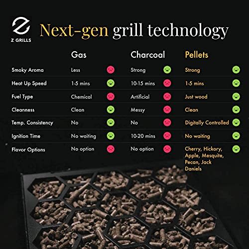 Z Grills ZPG-200A Portable Pellet Grill & Electric Smoker Camping BBQ Combo with Auto Temperature Control, Black