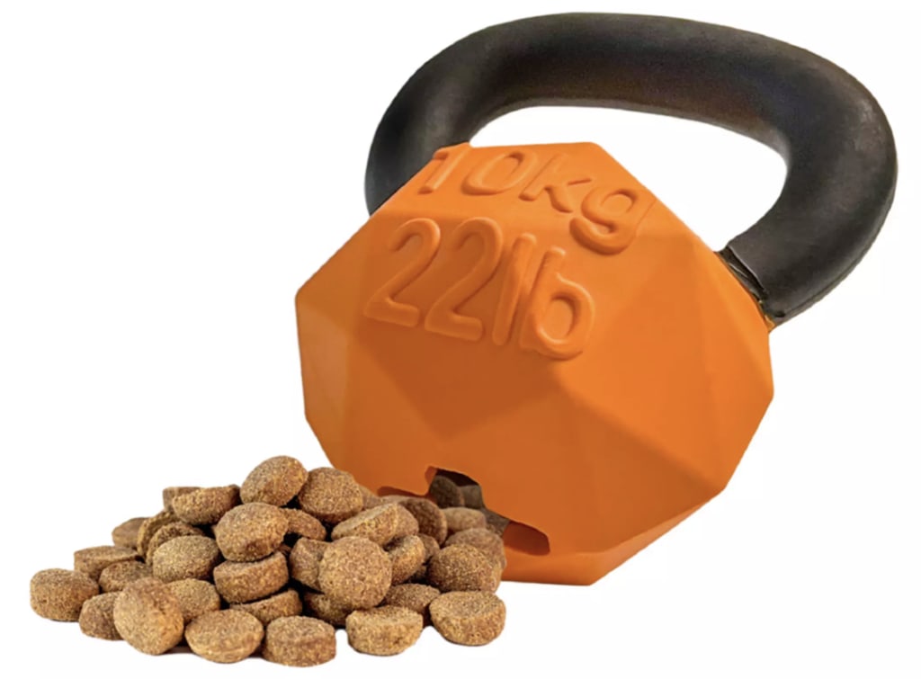 Friends Forever Kettlebell Rubber Chew Dog Toy for 3