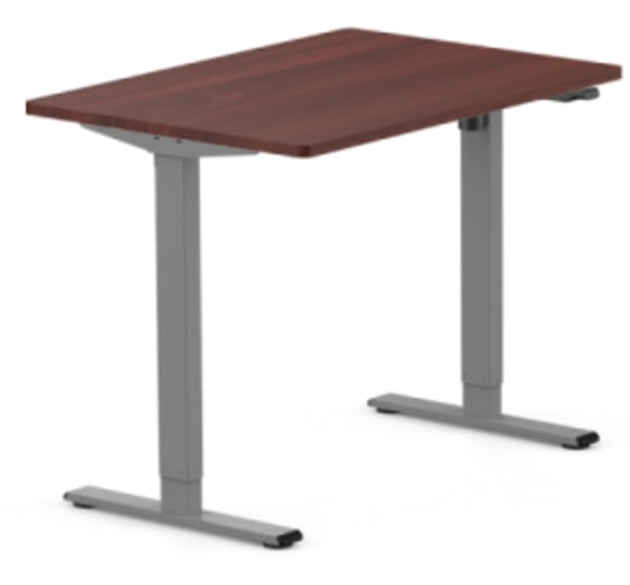 Flexispot Standard Standing Desk for 230 E1