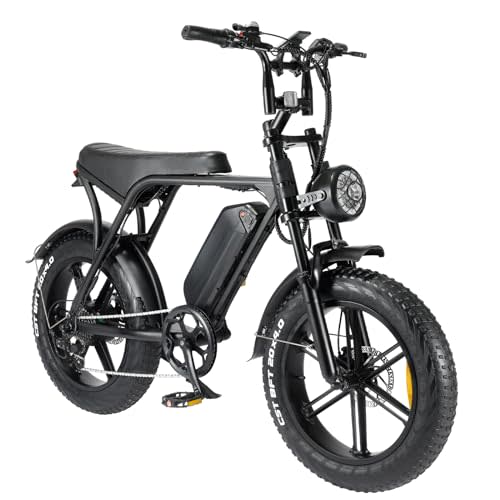 Ronson Electric Bicycle, Adult Electric Bike 750W 48V 15AH Removable ...