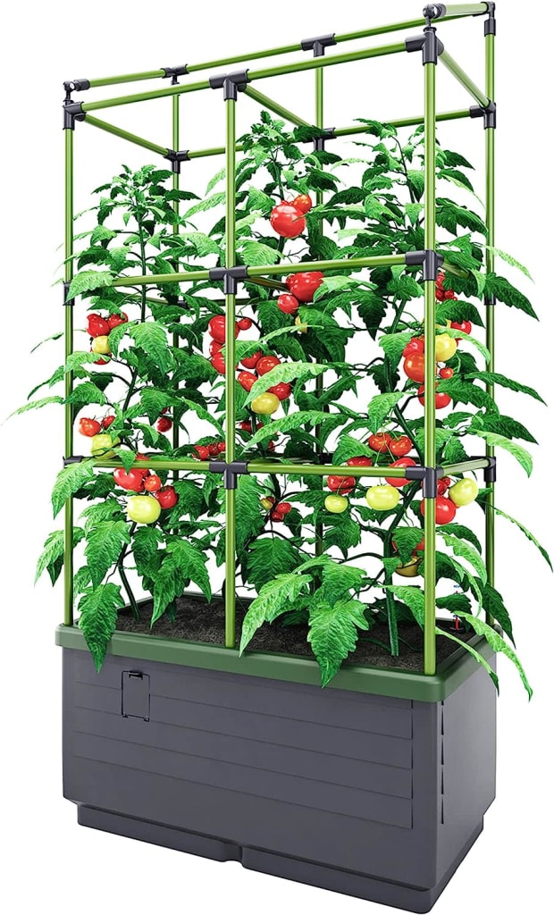 Bio Green City Jungle Housse De Protection – Film Pour Treillis, Ouverture Zip, Avantage Croissance Printemps/Automne