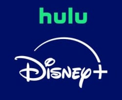 Disney+ and Hulu Basic Bundle