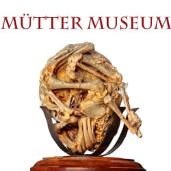 Mütter Museum Virtual Tour