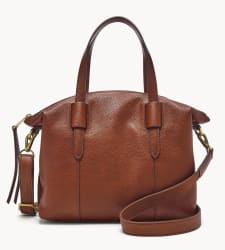 Fossil Skylar Leather Satchel