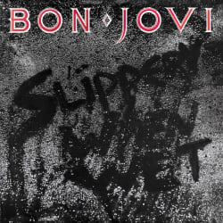 Bon Jovi "Slippery When Wet" Vinyl Album