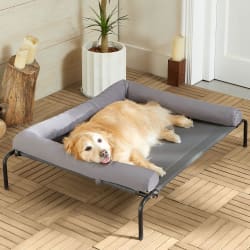 Elevated Cooling Bed for Large Dogs