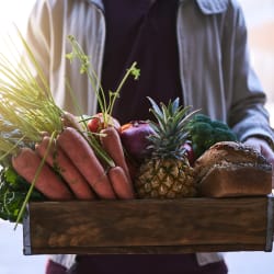Which Meal Kit Delivery Service Is Right for You?