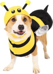 Dog Bee Costume