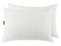 Sertapedic Charcool Standard Bed Pillow 2-Pack for $18 + free shipping w/ $35