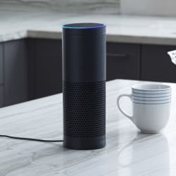The Amazon Echo Is Sold Out Until the End of January