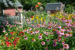 5 Gardening Deals: 3-Piece Tool Set for $13, Stand-Alone Hammock for $88