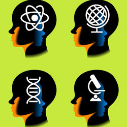 Affordable & Fun Brainy Games Boost Cognitive Functions in Adults & Kids