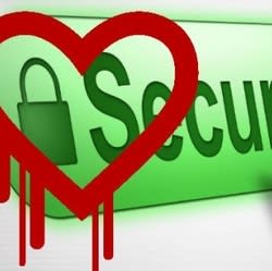 The Year of the Hack: What to Do About the Heartbleed Bug