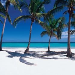 5 Reasons to Book This All-Inclusive Dominican Republic Vacation Deal